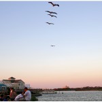 Tale of the Whale Restaurant - Nags Head, NC